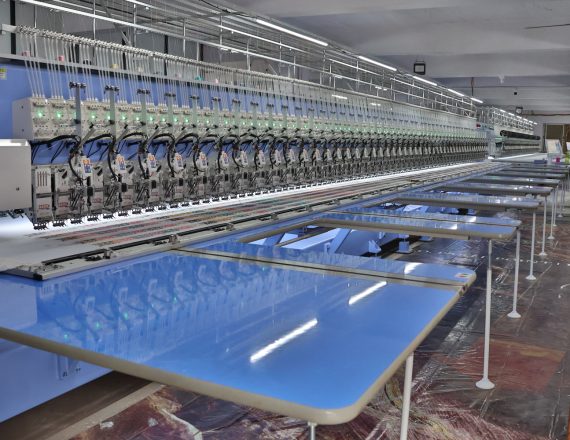 IMG_7177 (1) IMG_7177 (1)